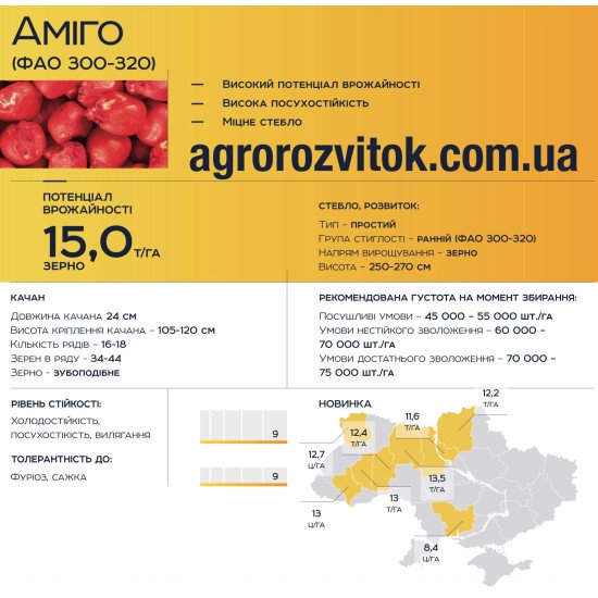 Насіння кукурудзи Аміго (ФАО 300–320) Євросем
