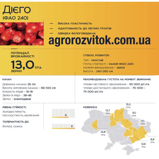 Насіння кукурудзи Дієго (ФАО 240) Євросем