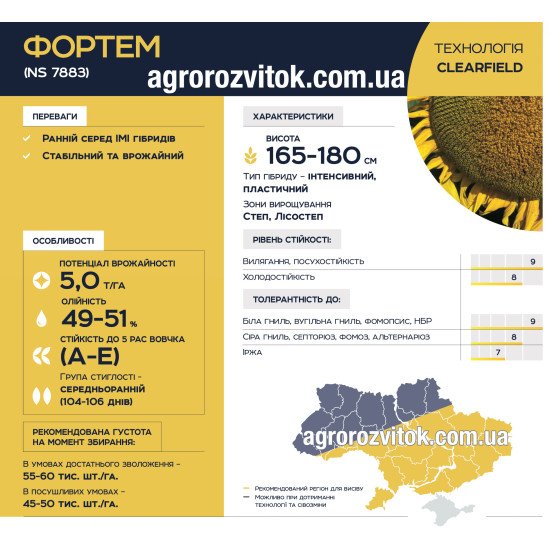 Насіння соняшника Фортем (NS 7883) Євросем