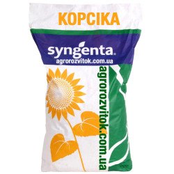Корсіка