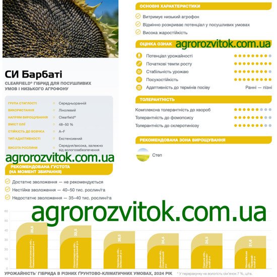 Соняшник СИ Барбаті Сингента – Clearfield гібрид для посушливих зон і низького агрофону