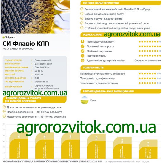 Соняшник СИ Флавіо КЛП Сингента – середньоранній Clearfield Plus гібрид з високим виходом олії