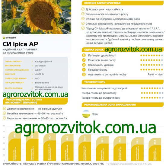 Соняшник СИ Іріса АР Сингента – A.I.R.™-гібрид для посушливого Степу