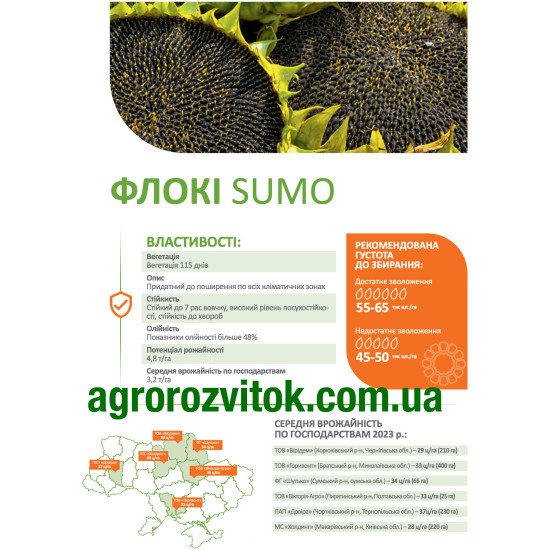 Флокі соняшник ДеМаркус – SUMO, 48%+ олії, 115 днів, 7 рас вовчка, посухостійкий