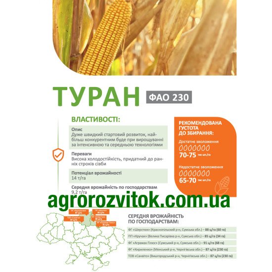 Кукурудза Туран ДеМаркус – холодостійкість, ранні строки сівби, потенціал 14 т/га