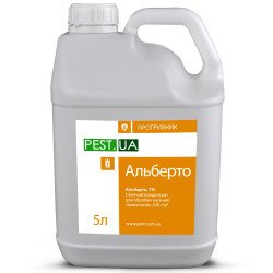 Альберто