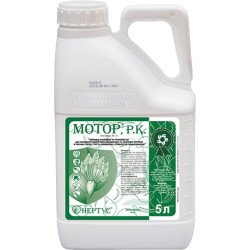 Мотор