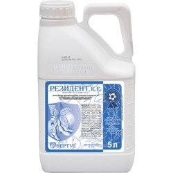 Резидент