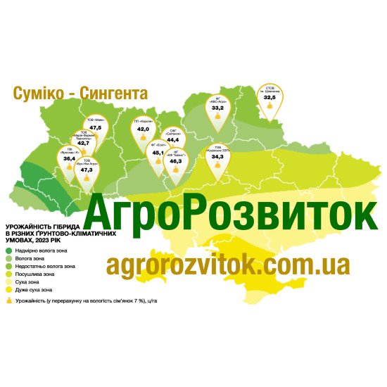 Соняшник Суміко Сингента – високоолійний HTS-гібрид з інтенсивним типом росту