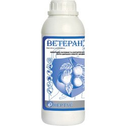 Ветеран