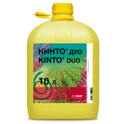 Кінто Дуо