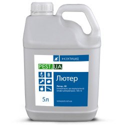 Лютер