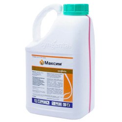 Максим 025