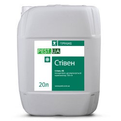 Стівен
