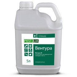 Вентура