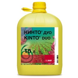 Кінто Дуо