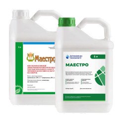 Маестро