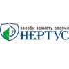 Нертус