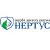 Нертус