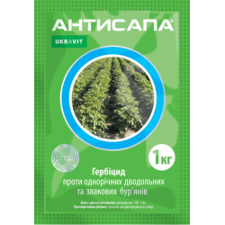 Антисапа