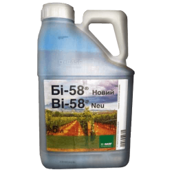Бі 58 Новий