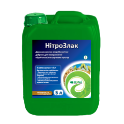 НітроЗлак