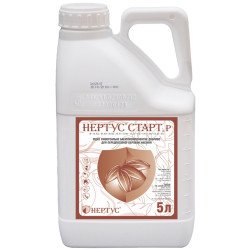 Нертус Старт