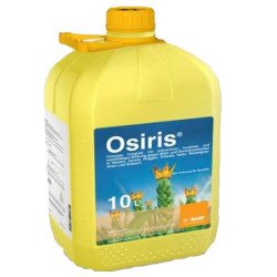 Осіріс Стар