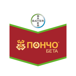 Пончо