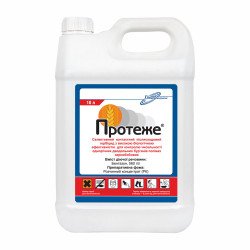 Протеже