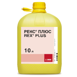 Рекс Плюс