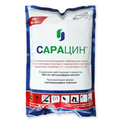 Сарацин
