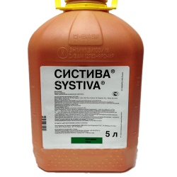 Систіва