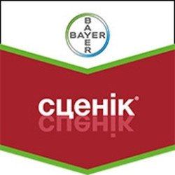 Сценік