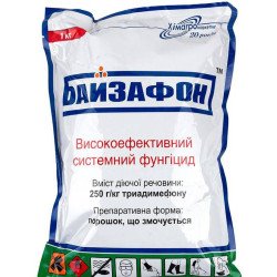 Байзафон