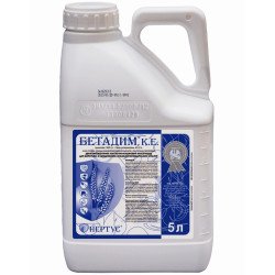 Бетадим