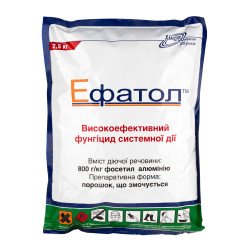 Ефатол