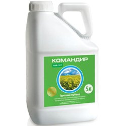 Командир