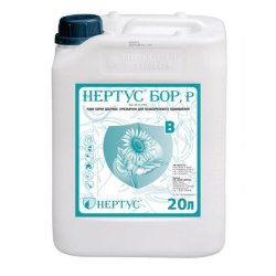 Нертус Бор