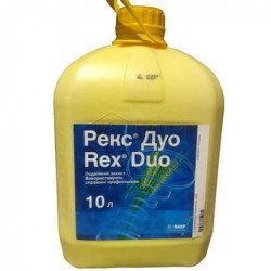 Рекс Дуо