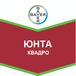Юнта Квадро