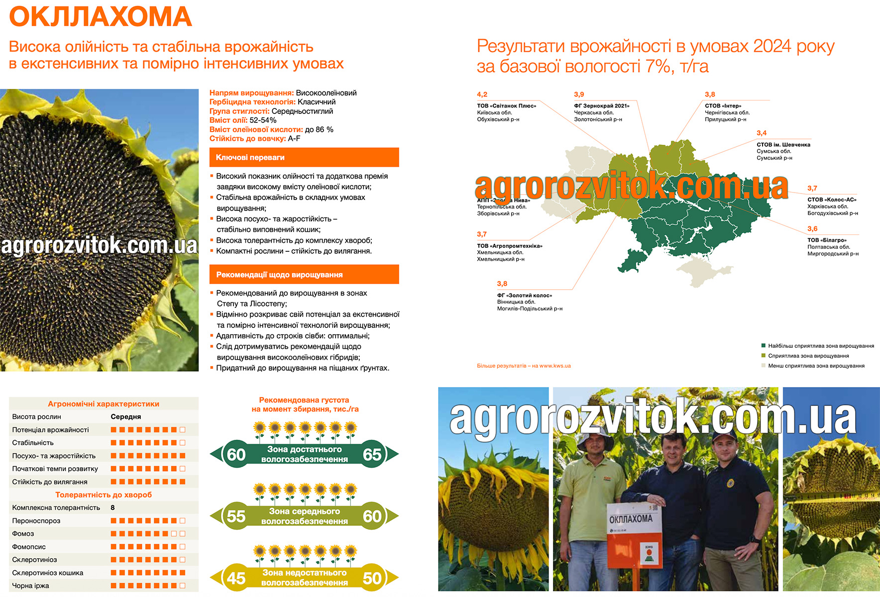 Соняшник Окллахома КВС