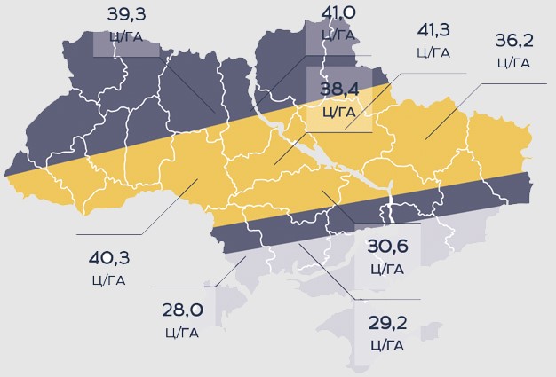 Врожайність соняшника Кронос Сумо