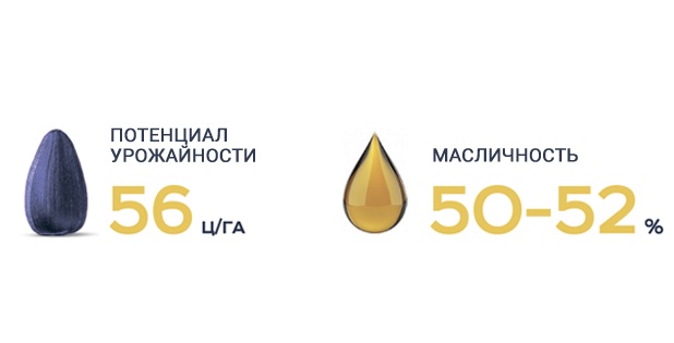 Кронос Сумо врожайність