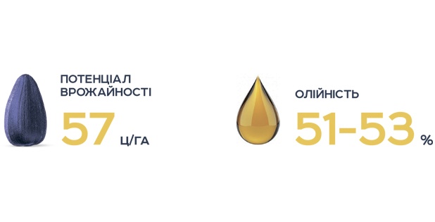 Ортус 7+ Сумо Врожайність та Олійність Ортус 7+ Сумо Врожайність та Олійність