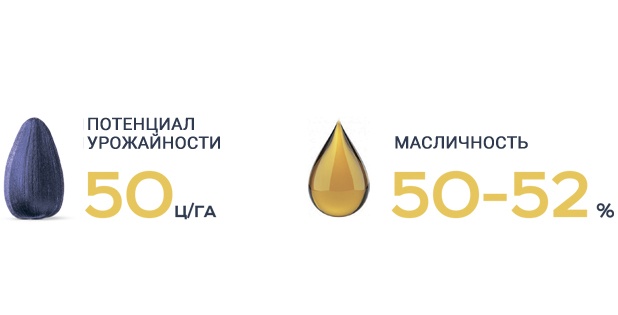 ТОР 7+ Сумо Врожайність та Олійність ТОР 7+ Сумо Врожайність та Олійність