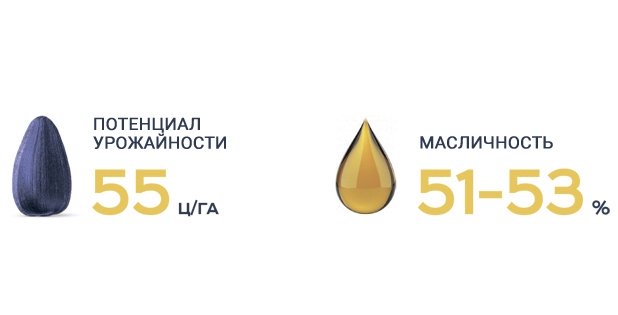 Старк 7+ Сумо Врожайність та Олійність