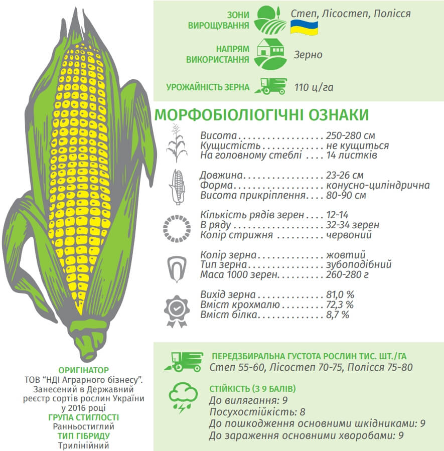 Купити Кукурудзу РАМ 1033