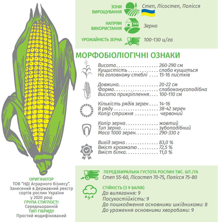 Купити Кукурудзу Шквал