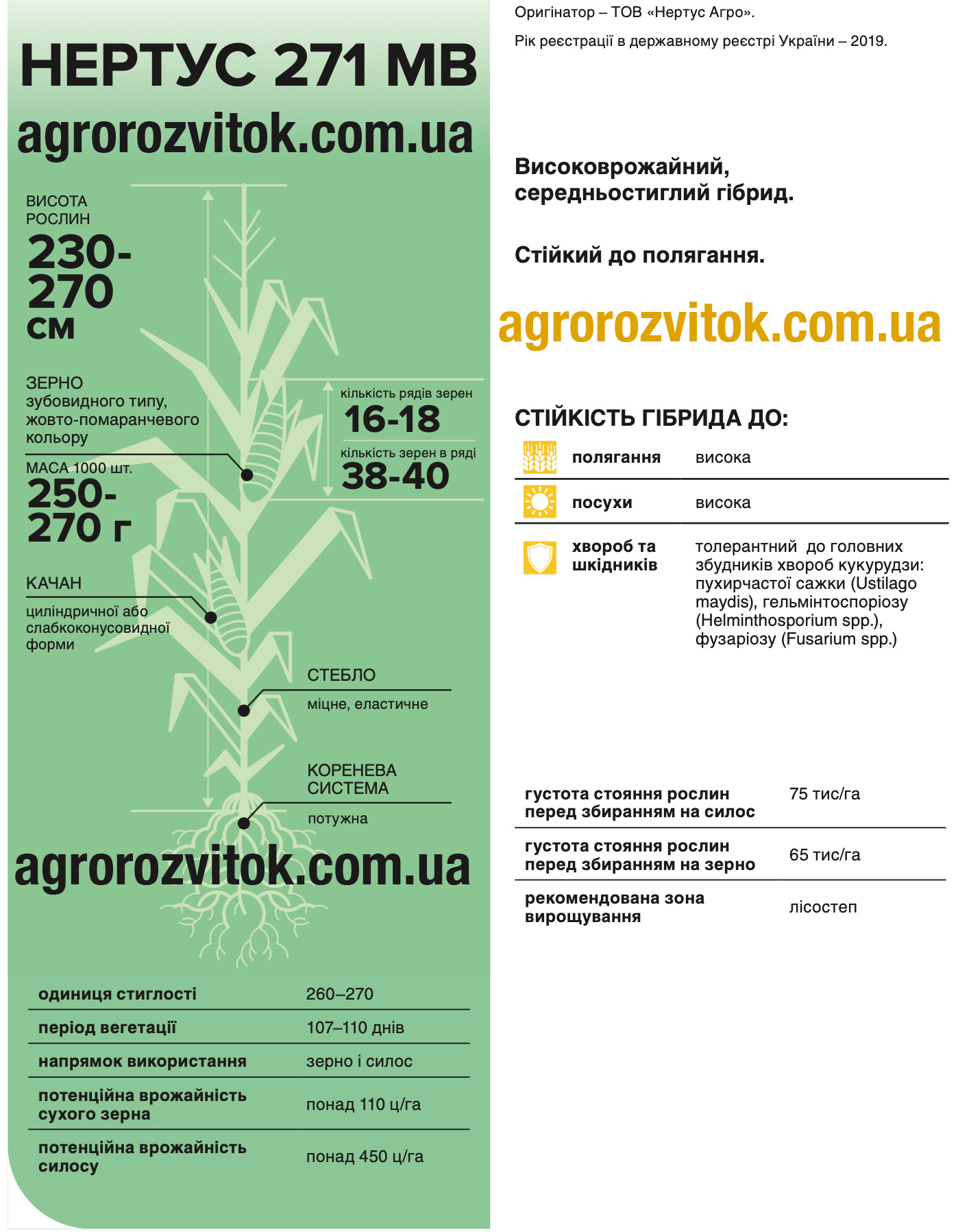 Кукурудза НР 271 МВ Нертус